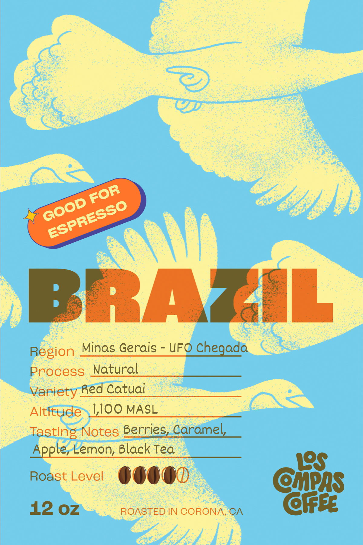 Brazil Minas Gerais UFO Chegada